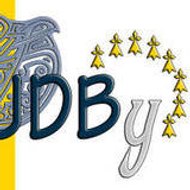 UDB Yaouank Les jeunes de l'UDB