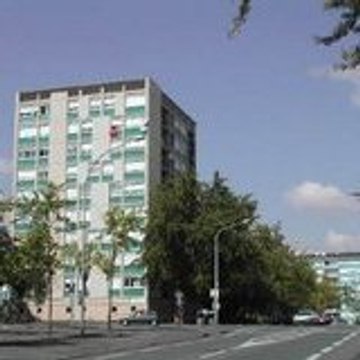 raoufinio