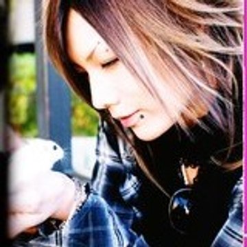 Shubi-x3