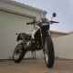 junior_33
