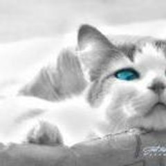 tony