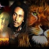 jamaiquarasta Paradis