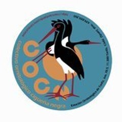 cocntarifa
