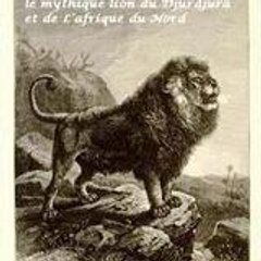 mourad