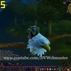 DVWebmaster