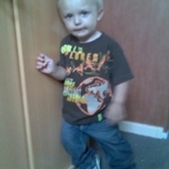 HAUCHECORNE NOAH