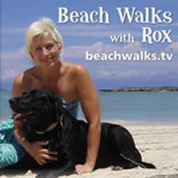 Beach Walks with Rox