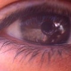 Bénélux Centre infoManipulations