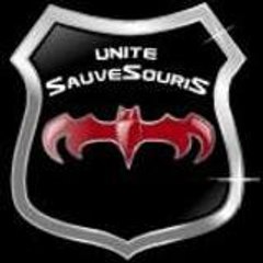 Unité SauveSouris