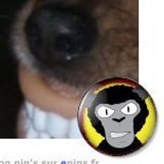 labrajack