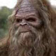 Sasquatch