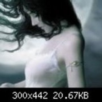 broken_wings_spring
