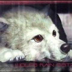 sleepingwolf