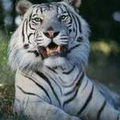 h..........c.................