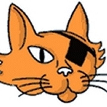 Le Chat Borgne