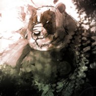 *MisterPanda~Omegahalo* Omegahalo