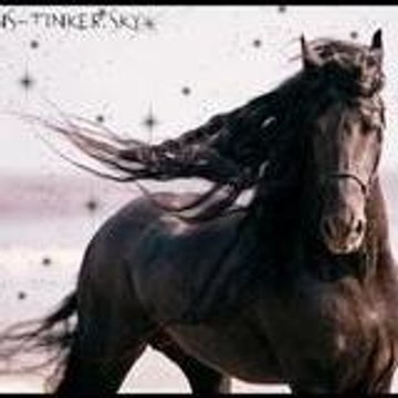 equi-pratique