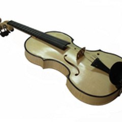 violinbodo