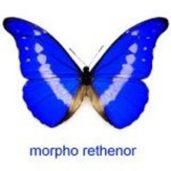rethenor