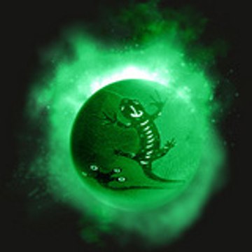 pacosalamander