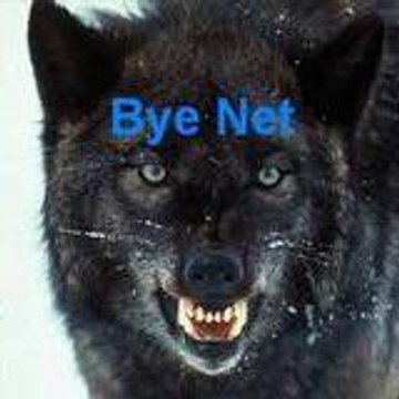 Bye Net
