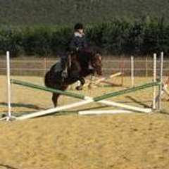 pica30