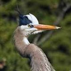 SF Nature Education