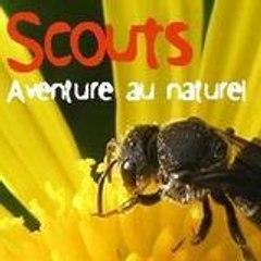 Scouts et Guides de France - Gp Loire Authion