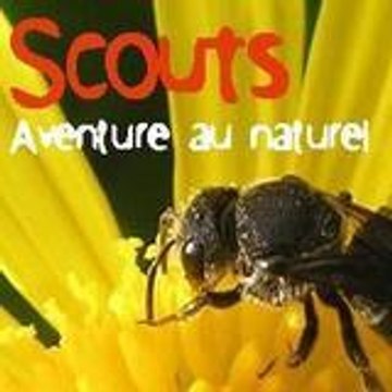 Scouts et Guides de France - Gp Loire Authion