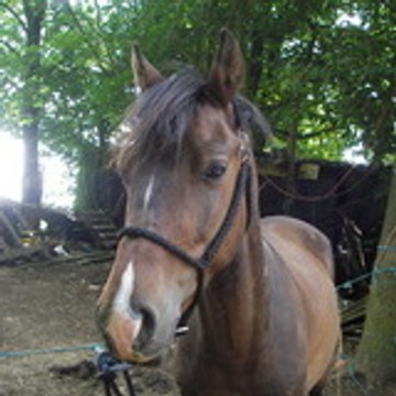 Hellchaton DesEnfers