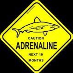 ADRENALINEBEM33