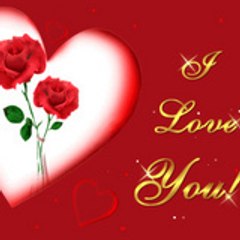 nour-ehouda