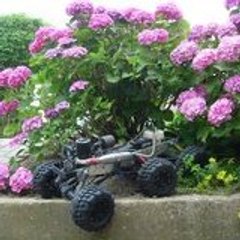 mini_rider