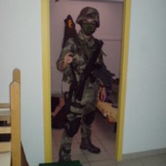 Mc_sim39