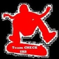 CHECK-SK8BOARD-13