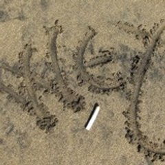 weyy