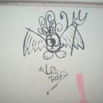 ersin