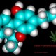 budsmoker