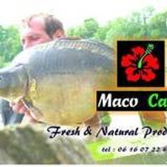 maco capa