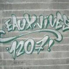207-ZoO