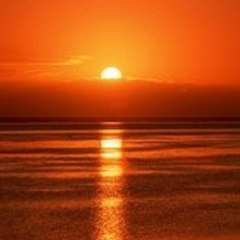 .........................