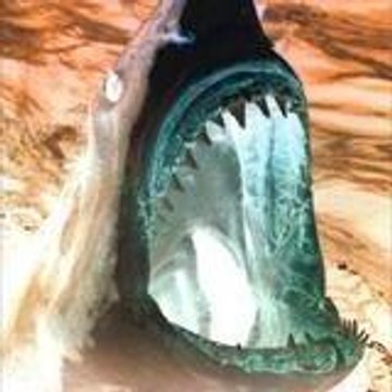 sex8me