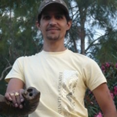Pedro Borja