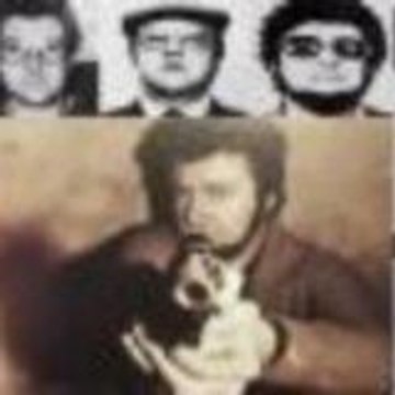 palayeba le havre 76