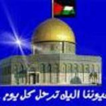 mounir75020