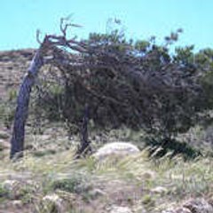 jaavaru