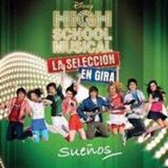 hsm_seleccion