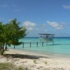 Miss_Tahiti