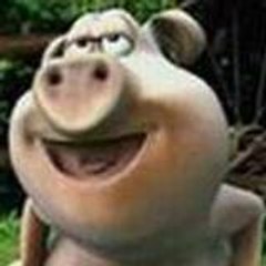 DD_willi