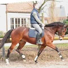 WILLEM Fabrice